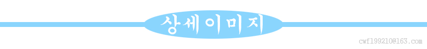 김장조끼 중년과 노년층 플로럴 민족 스타일 조끼 새로 선보인 가을겨울 플리스 안감 두꺼운