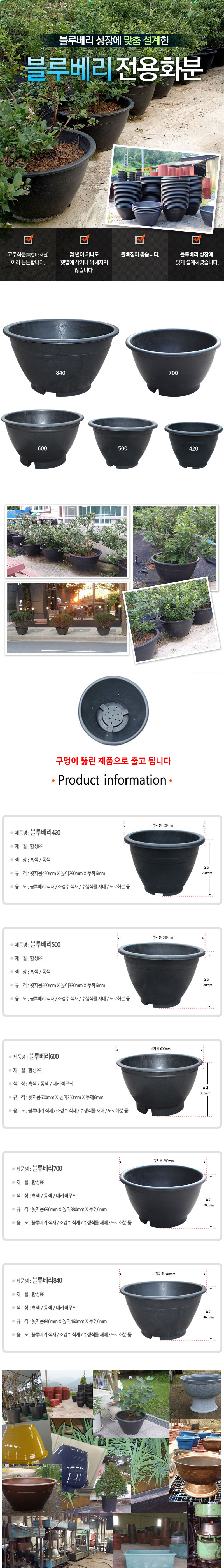 고무다라 원형화분 (블루베리)